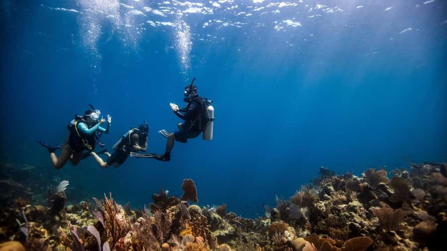DISCOVER SCUBA DIVING IN LEMORNE with EasydiveMauritius - Le Morne, Mauritius: Why This Area Works for a First Underwater Session