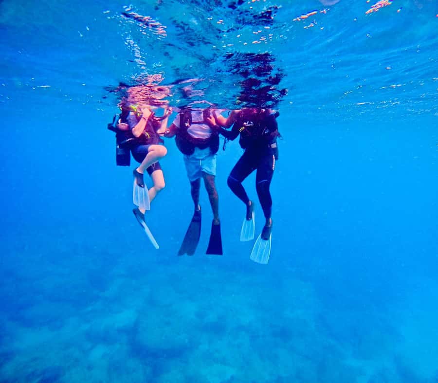 DISCOVER SCUBA DIVING IN LEMORNE with EasydiveMauritius - Price and Value: Is $159 Fair for a 2-Hour Beginner Program?