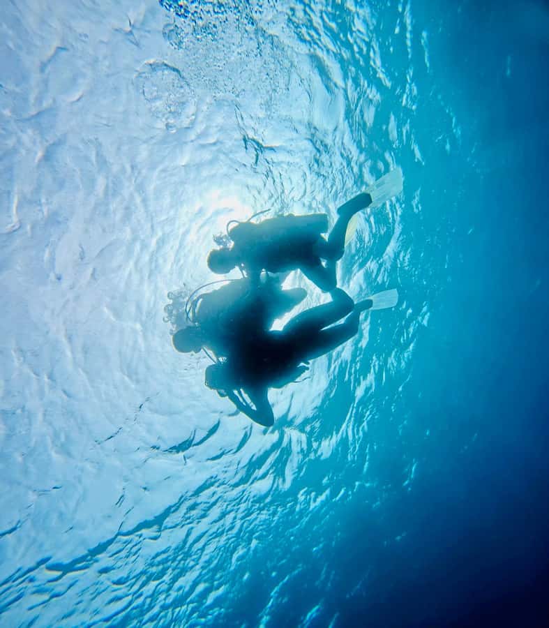 DISCOVER SCUBA DIVING IN LEMORNE with EasydiveMauritius - Who This Works Best For (And Who Should Skip It)