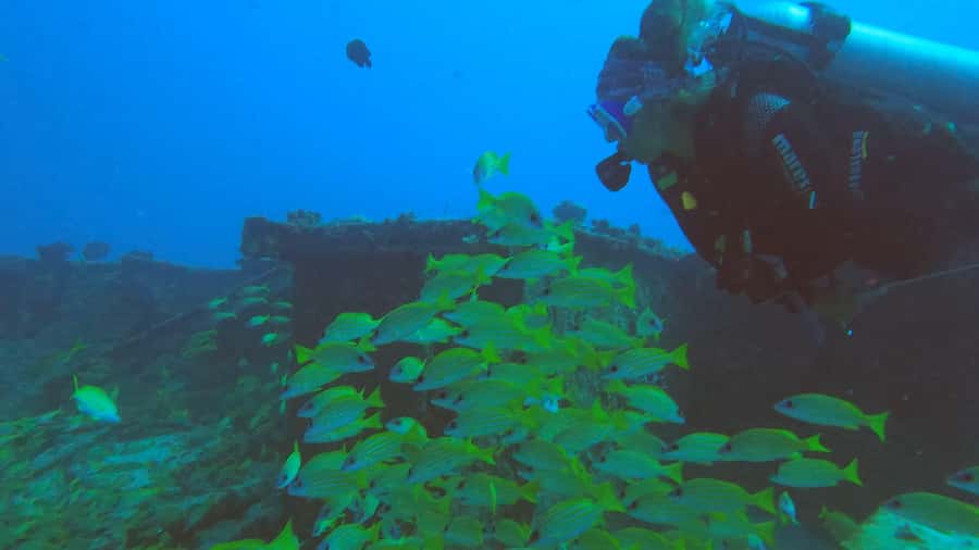 Discover Scuba Diving in the North of Mauritius - Optional GoPro photos and videos: worth it for a first time