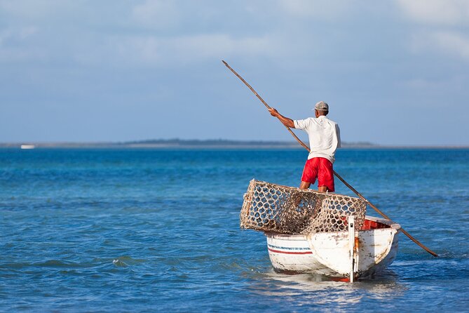 Discover the East of Mauritius: Full-day All-inclusive tour (Visit to 3 parks) - How this East Mauritius private day works (and why it’s a good use of time)