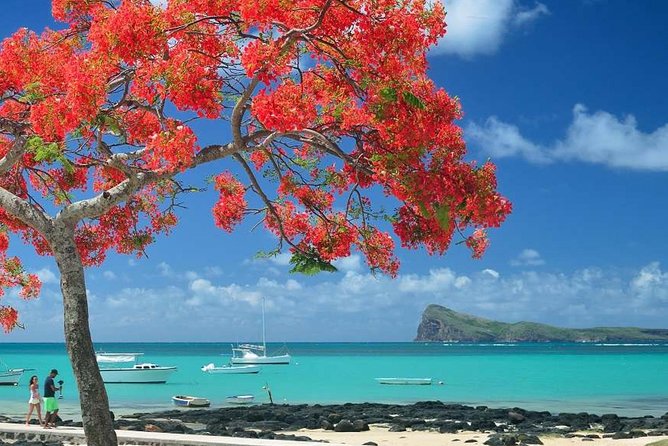 Discovering the North of Mauritius: Full-day incl Botanical garden & lunch - Price and logistics: what $115.90 really buys you