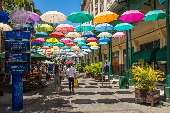 Discovering the North of Mauritius: Full-day incl Botanical garden & lunch - Pamplemousses Botanical Garden: giant water lilies and plant variety