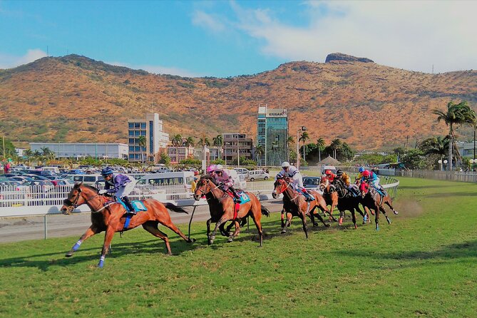 Discovering the North of Mauritius: Full-day incl Botanical garden & lunch - Citadelle (Fort Adelaide): 360-degree Port Louis views