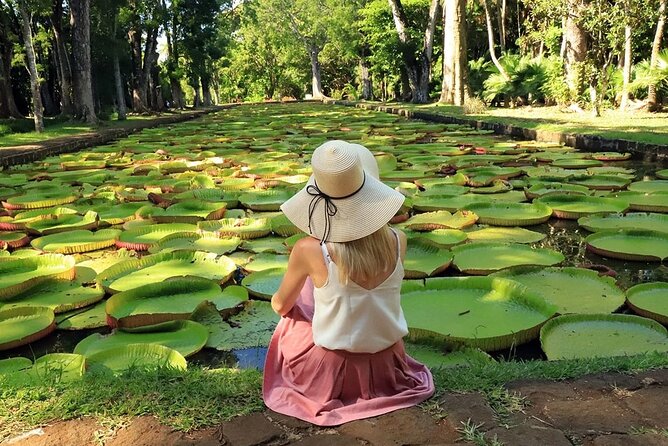Discovering the North of Mauritius: Full-day incl Botanical garden & lunch - Aapravasi Ghat (UNESCO): indentured labor history you can stand inside