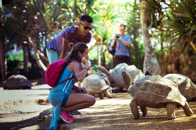 Discovery Tour 35km - Optional Hotel Pickup: Worth It If You Hate Time Wasting