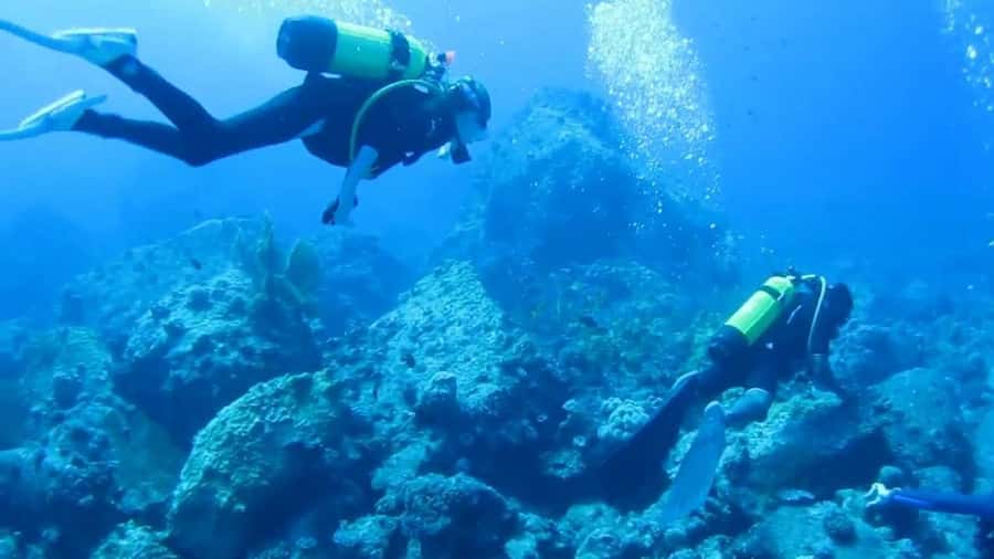 Diving in the North with Blue World Adventures - Key highlights that matter in real life