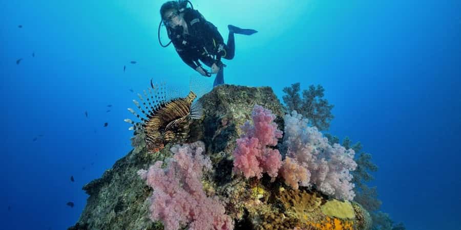 Diving in the North with Blue World Adventures - Safety, Forms, and Gear Setup Under PADI-Style Guidance