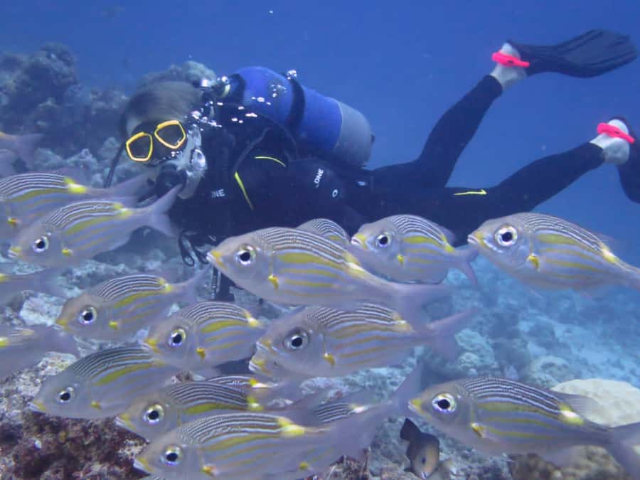 Diving in the North with Blue World Adventures - What’s Included, What’s Not, and How to Plan Around It