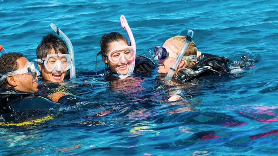 Diving in the North with Blue World Adventures - The 2-Hour Flow: From Check-In to Open Water