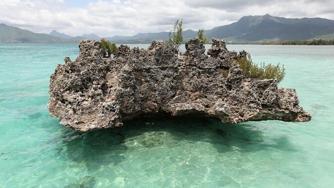 Dolphin Encounters, Ile aux Benitier & Crystal rock: Full-Day (Lunch & Transfer) - Key highlights to look for