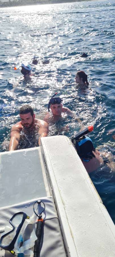 Dolphins: Private, Snorkel, CrystalRock, ileoBenitiers,lunch - Private Dolphin and Snorkel Day from Tamarin or La Preneuse