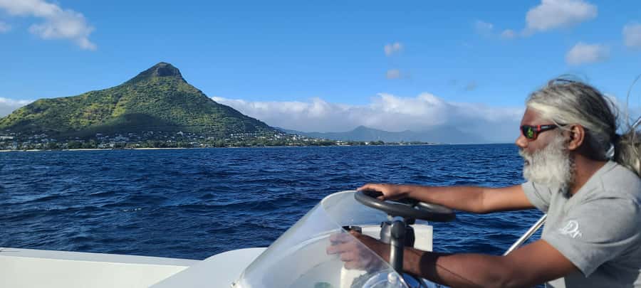 Dolphins & Whales, Private Tour Snorkeling - Whale Watching That Feels Like Respect, Not Harassment