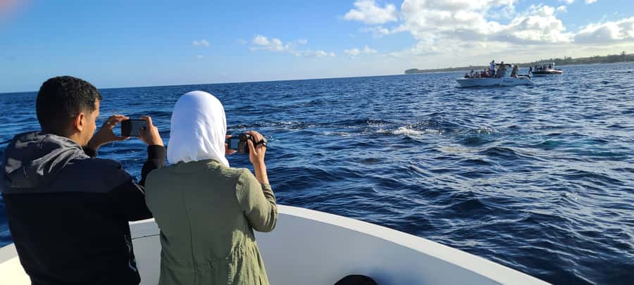 Dolphins & Whales, Private Tour Snorkeling - Spinner Dolphins, Plus the Moment When It Gets Real