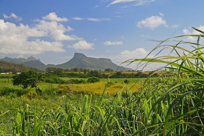 East of Mauritius: Full Day Scenic Tour with Lunch & Glass Bottom - Frederik Hendrik Museum and Vieux Grand Port: History with a Sense of Place