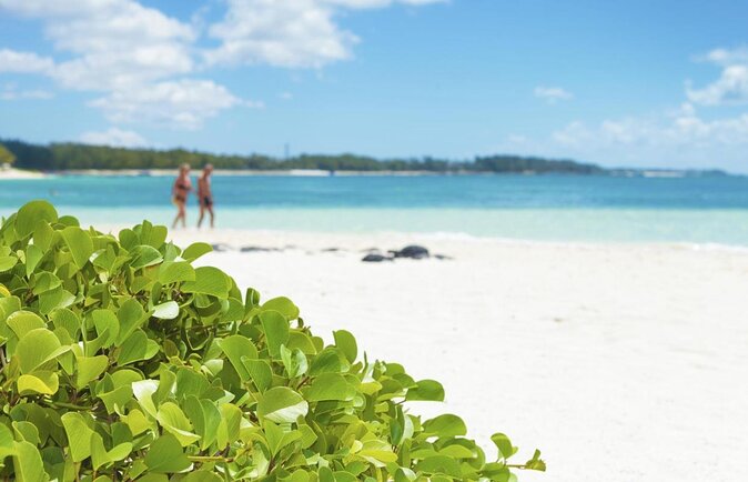 Eastern Treasures of Mauritius: incl Rhumerie St Aubin & Blue-Bay Marine Park - Key highlights that matter