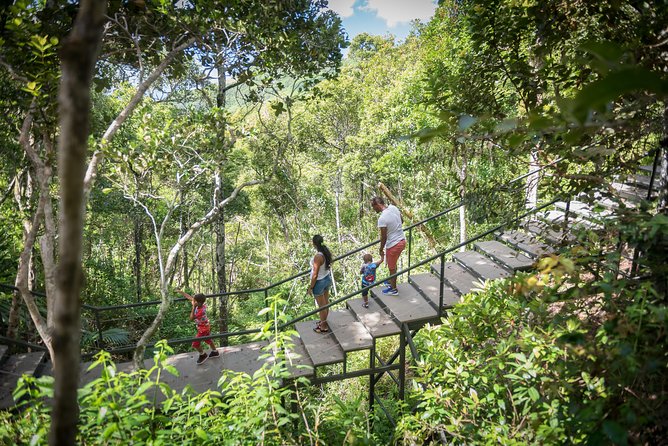 Ebony Forest Reserve Chamarel - Take a Hike Tour - The Ebony Experience museum: context that changes your walk