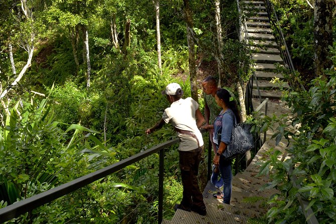 Ebony Forest Reserve Chamarel - Take a Hike Tour - Hitting Sublime Point: the ridgeline walk with real payoff