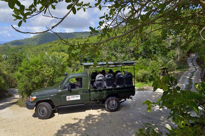 Ebony Forest Reserve Chamarel - Take a Hike Tour - What to pack and how to pace yourself in the forest