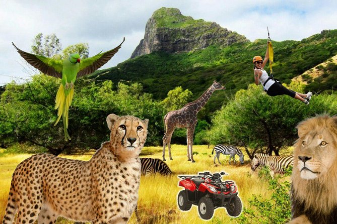Enchanting South of Mauritius: Full-day tour Incl CASELA Park, Lunch & Transfer - Grand Bassin temple and the 33 m Lord Shiva statue
