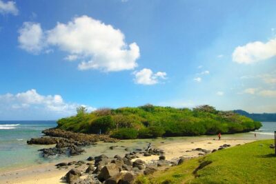 Enchanting South of Mauritius: Full-day tour Incl CASELA Park, Lunch & Transfer