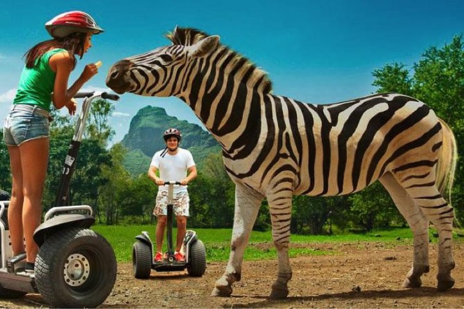 Enchanting South of Mauritius: Full-day tour Incl CASELA Park, Lunch & Transfer - Tulawaka Gold Coaster, the thrill stop that can save the day