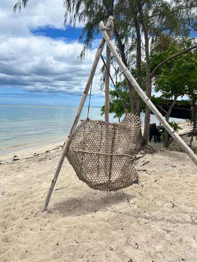 Exclusive:full-day/Dolphins watch& swimming Crystal Rock+Bbq - Le Morne on the water: why the views matter on a dolphin day