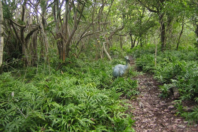 Exotic East of Mauritius: Full-day incl Ile aux Aigrette & Blue-Bay Marine Park - Mahebourg lunch and the National History Museum focus