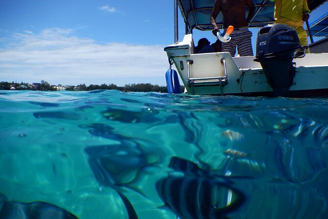 Exotic East of Mauritius: Full-day incl Ile aux Aigrette & Blue-Bay Marine Park - Ile aux Aigrettes nature reserve: coral island, conservation, and wildlife