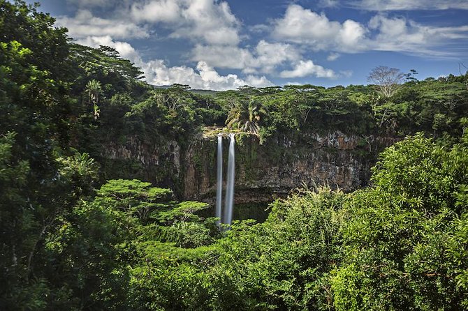 Exotic South: Journey into the Nature (Full-Day Tour incl Lunch & Ebony Forest) - Price and value: what you’re paying for at $147.50 per person