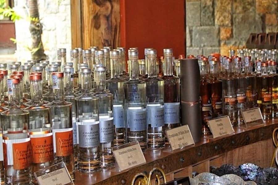 Explore the Southwest with Local Lunch & Rum Tasting - Key things you’ll remember from this Southwest Mauritius day