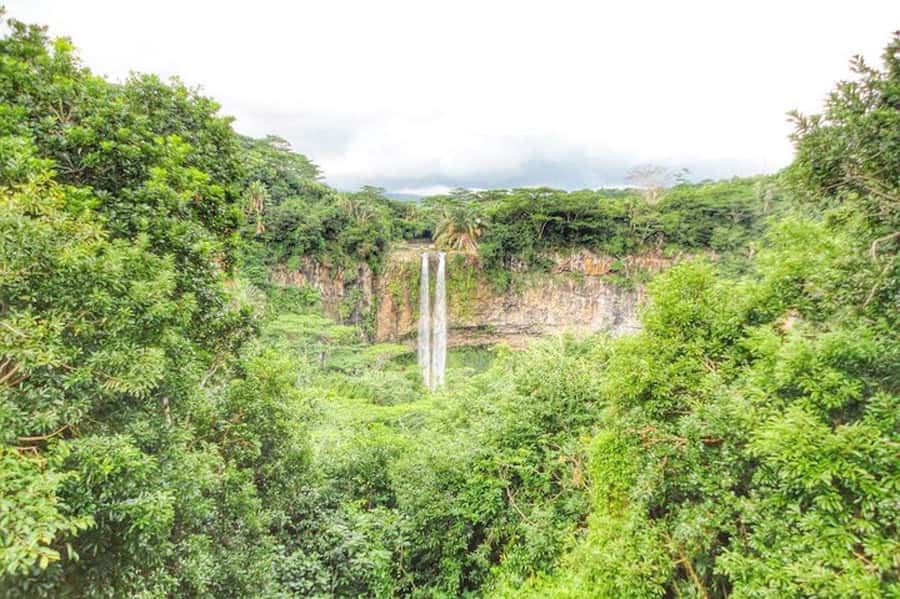 Explore the Southwest with Local Lunch & Rum Tasting - Grand Bassin sacred lake: Hindu Mauritius with views and monkeys