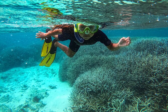Exploring the Magnificent East of Mauritius: Full-day incl Blue Bay Marine Park - Key Things I’d Plan Around