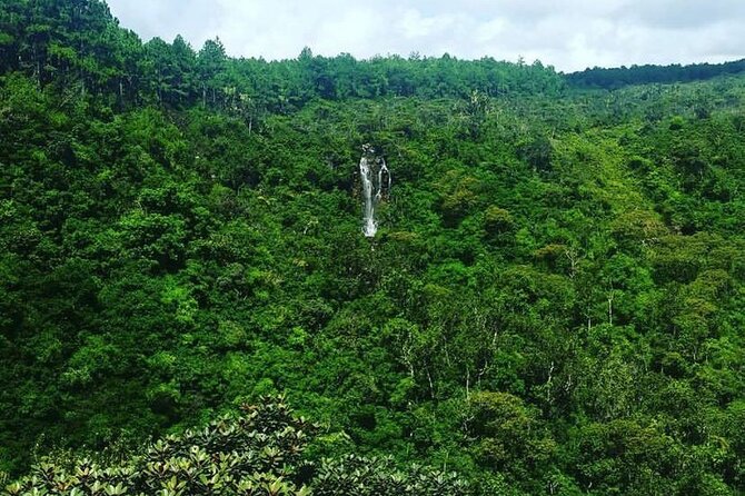 Fascinating Nature Tour Incl Ebony Forest, 7 Coloured Earth,Lunch - Grand Bassin (Ganga Talao): Sacred Water, Colorful Temples, and a Quiet Moment