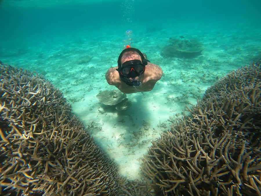 From Blue Bay: Ile aux Cerfs Speedboat Excursion with BBQ - Speedboat route from Blue Bay, starting at 09:30