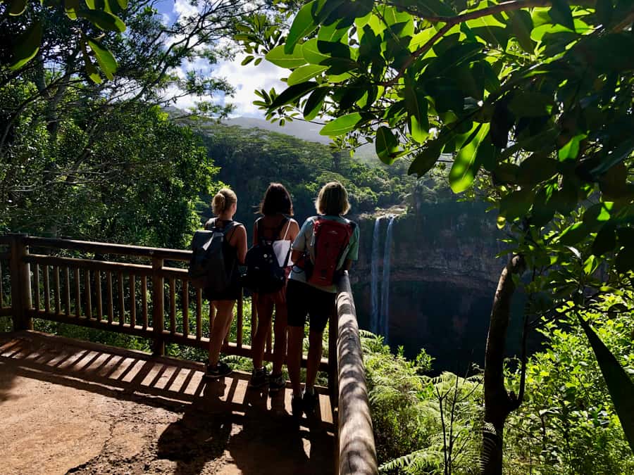From Chamarel: Waterfall Eco-Hike Adventure - Key highlights you will feel the moment you start
