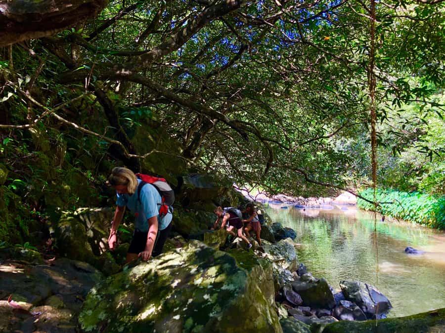 From Chamarel: Waterfall Eco-Hike Adventure - Guide Bryn, and Why the Right Leader Matters on Wet Rock