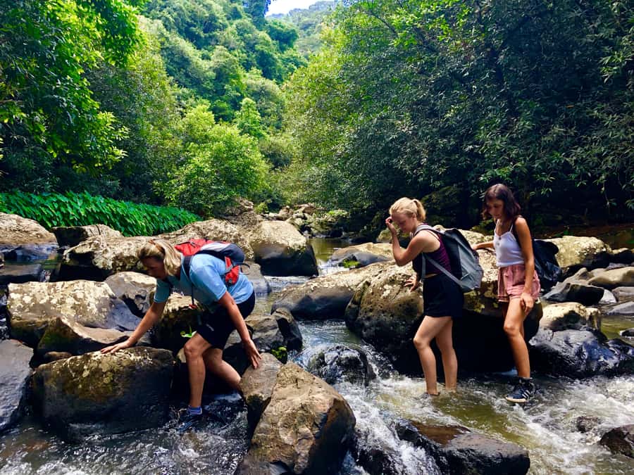 From Chamarel: Waterfall Eco-Hike Adventure - The Gorge Descent: Four River Crossings and Scrambling Over Slippery Rocks