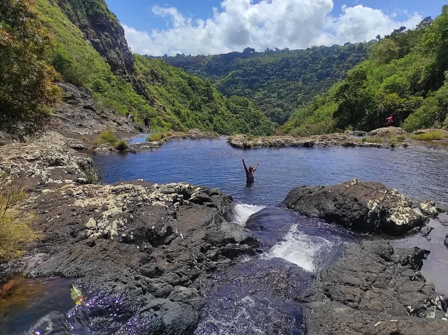 From Quatre Cocos: Tamarind Falls Hiking Day Trip - The guide is the difference, from route choices to plant talk