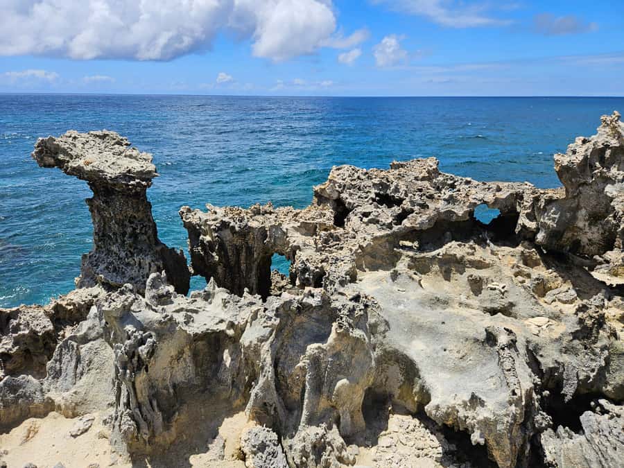 FULL-DAY CATASPEED - East Lagoon cruise including transfer. - Snorkeling Gear Included, Plus Life Jackets That Make It Practical for Families