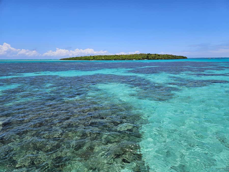 FULL-DAY CATASPEED - East Lagoon cruise including transfer. - Ile aux Flamants, Ile aux Phares, Ile de la Passe, Ile aux Aigrettes: How Each Island Stop Feels