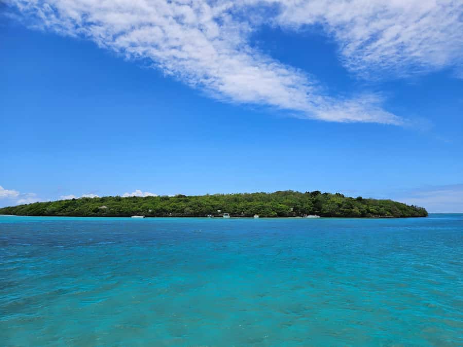 FULL-DAY CATASPEED - East Lagoon cruise including transfer. - BBQ Lunch on Ile Aux Margenie: What’s Included and Why It Matters