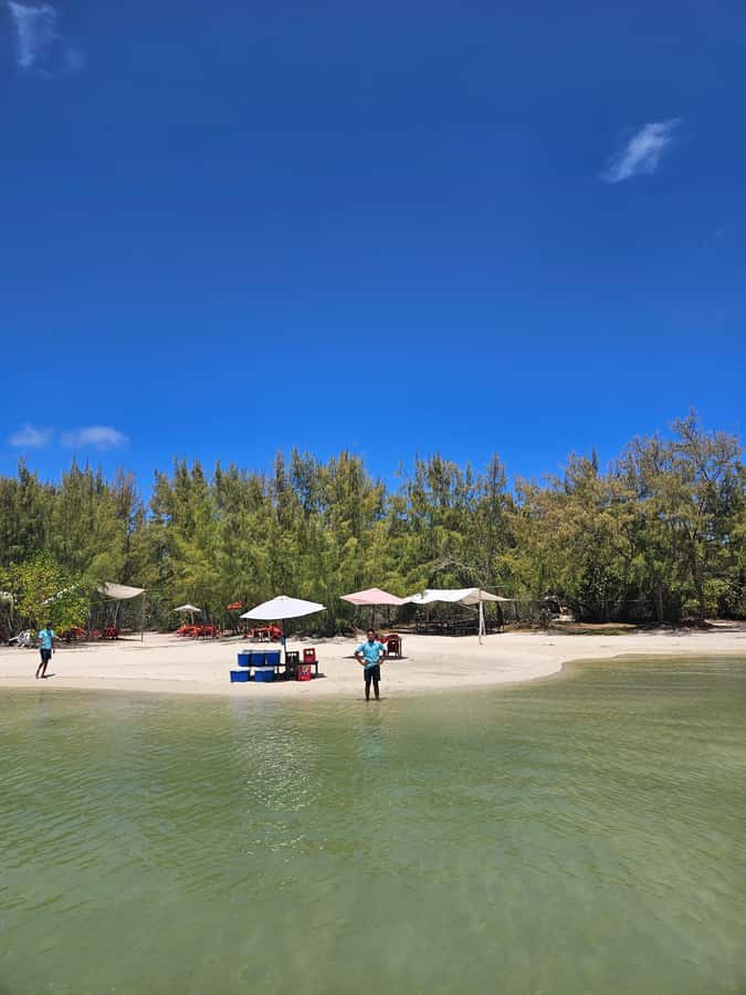 FULL-DAY CATASPEED - East Lagoon cruise including transfer. - Ile aux Cerfs Island Stop: Beach Time, But Manage Expectations
