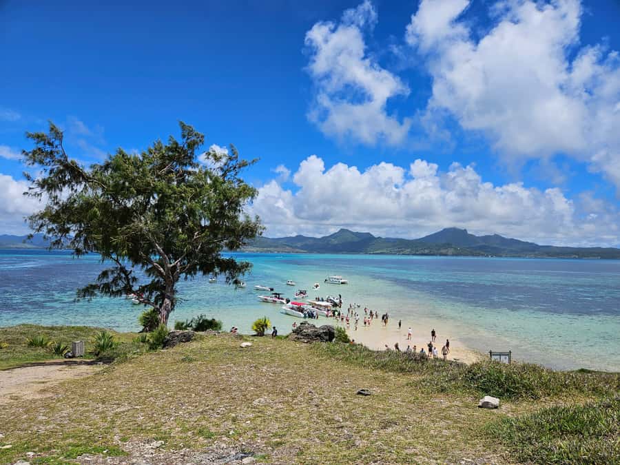 FULL-DAY CATASPEED - East Lagoon cruise including transfer. - What Makes This East Lagoon Cruise Work: Private Time on the Water