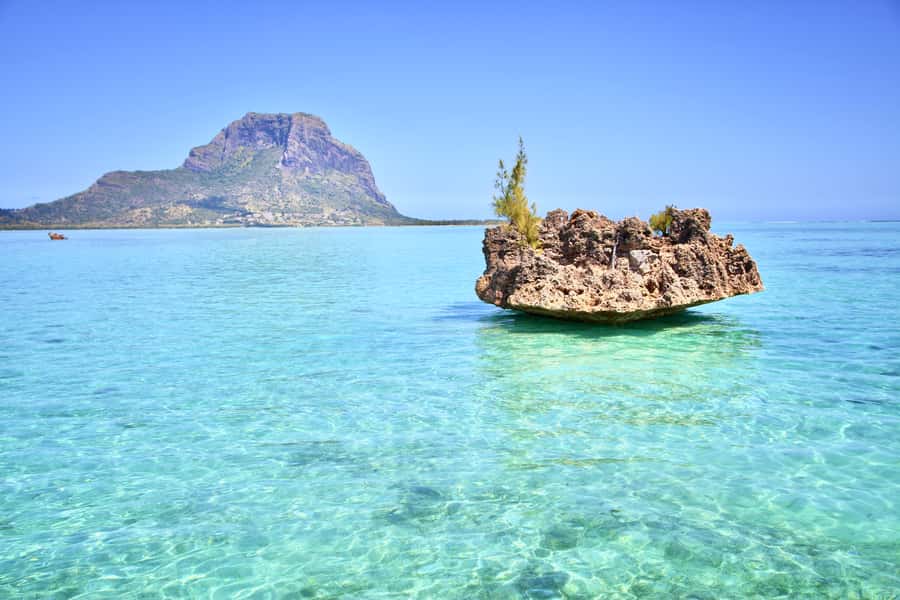 Full Day Dolphins Watching Ile aux Benitiers & Crystal Rock - A West Coast Dolphin Swim and Crystal Rock Snorkeling Combo