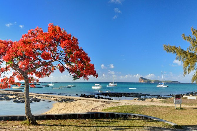 Full Day North Private Guided Tour Mauritius: including lunch - Kaylasson Tamil Temple: colorful tiers and a human-body layout