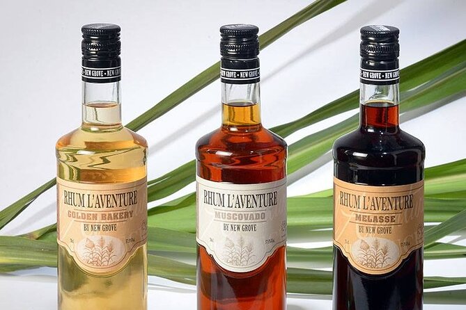 Full Day-North Tour (Drive Less,More Visits) - Notre Dame Auxiliatrice (Red Roof Chapel): A Short History Moment