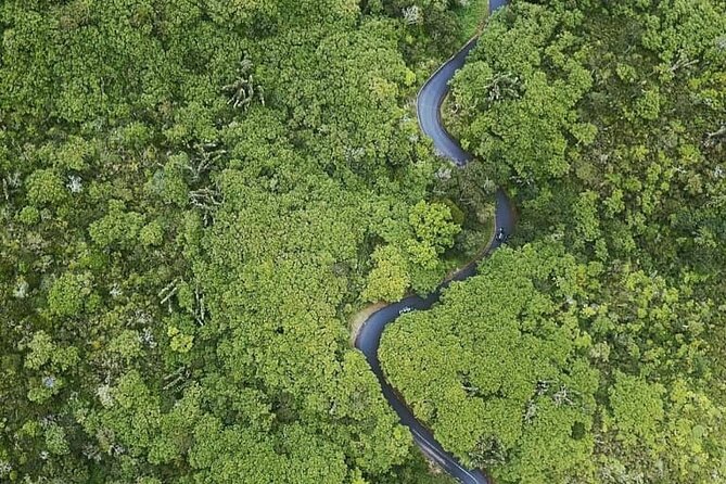 Full Day Private car only Guided SOUTH WEST of Mauritius - Vallé Advenature Park: color, activities, and why entrance fees are on you