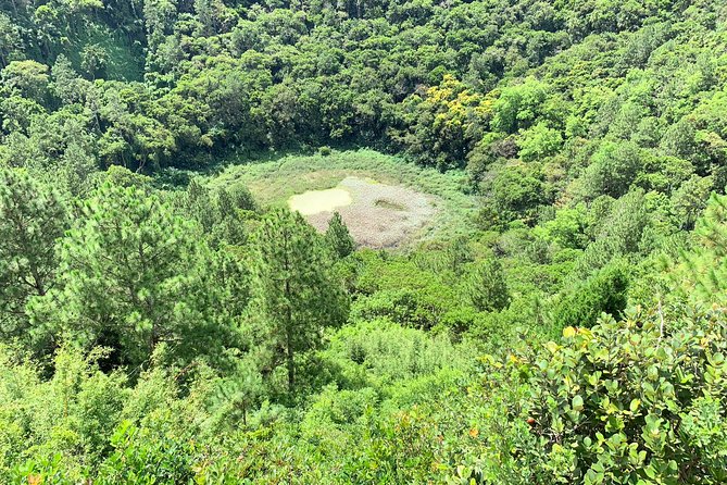 Full Day Private custom Tour with Drive-Guide in Mauritius - Why This Private Drive-Guide Tour Works So Well in Mauritius