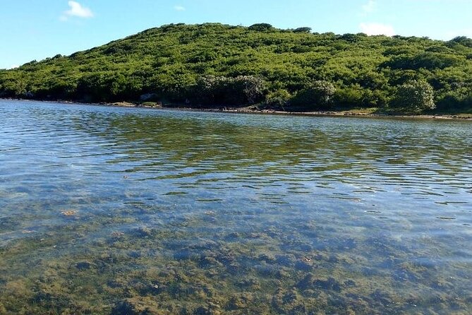 Full-Day Private Hiking le Morne Mountain & Seafood Lunch at Islet Fourneau - Why Le Morne Brabant Feels Different From a Typical Island Hike